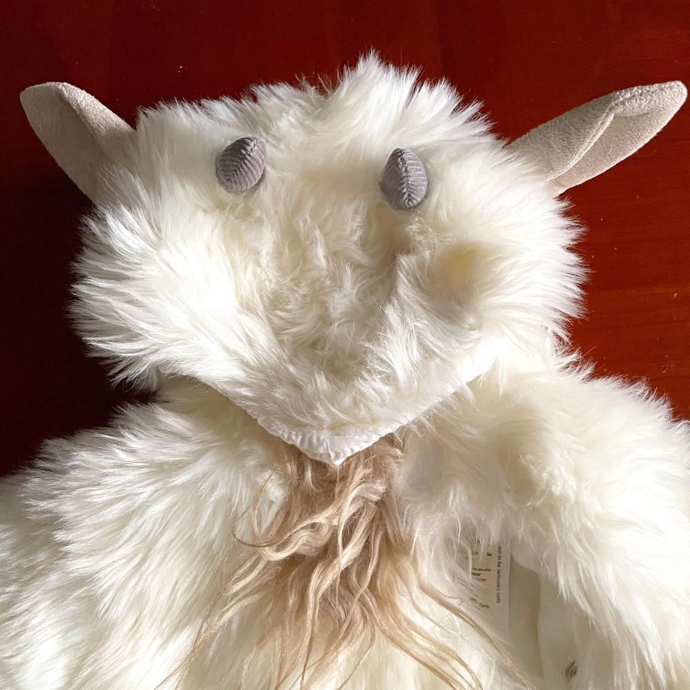 Pottery Barn Kids Woodland Baby Goat Costume
